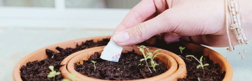 Anpflanzen leicht gemacht